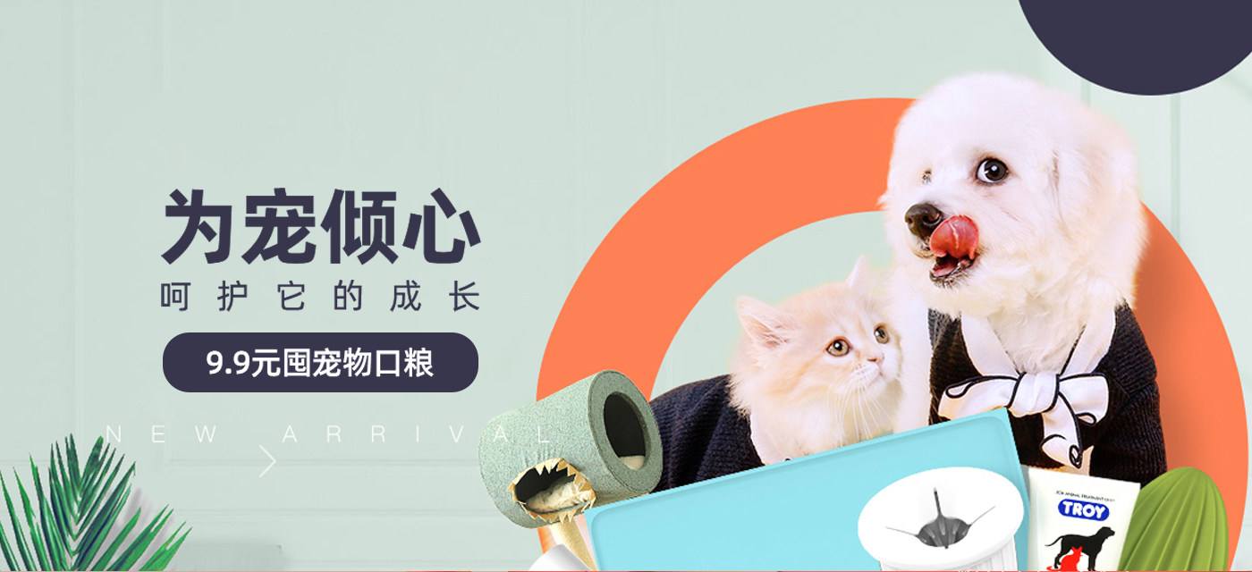 淘券网盟导购